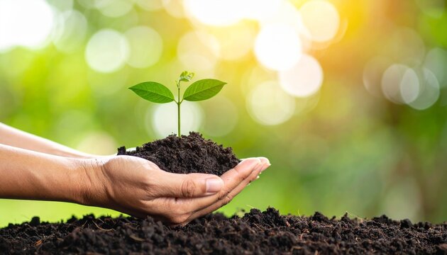 Mano sosteniendo brote con tierra h&uacute;meda, fondo difuminado con luz dorada que resalta el contraste entre piel, suelo y hoja verde
