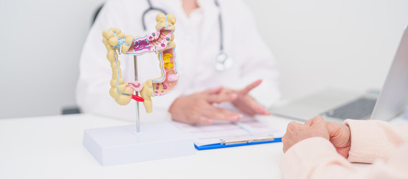 Elderly woman Patient consultation with doctor for Colon disease, Large Intestine, Colorectal cancer, Ulcerative colitis, Diverticulitis, Irritable bowel syndrome, Digestive system and Healthcare