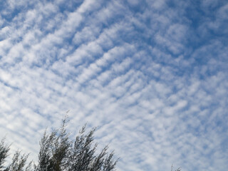 clouds in the sky