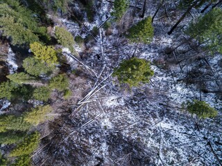Aerial view of a snow-covered forest, showcasing the contrast between the green trees and the...