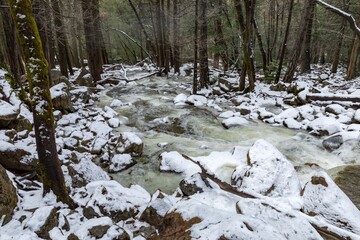 A river flows through a snowy forest in Yosemite National Park, USA. The water rushes over rocks,...