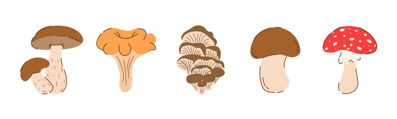 Set Flat Mushrooms Edible and Poisonous, Champignon, Birch Boletus, Chanterelles, Oyster Mushrooms, Fly Agaric Isolated on white Background. Autumn Vegetarian Elements in Modern Trendy Cartoon Style. 