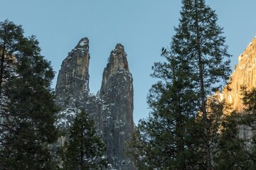 Two ravens perch in a tree, observing the iconic rock formations of Yosemite National Park, USA....