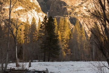 Valley floor, pine trees and snow in Yosemite National Park, California, USA