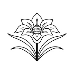Obraz premium Stylized Flower Line Art – Symmetrical Line Art Illustration for Coloring Page