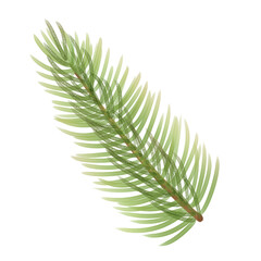 Fototapeta premium green and fresh pine needles illustration