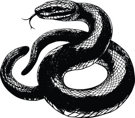 Obraz premium Vector illustration: Coiled snake, detailed ink drawing, dark, dramatic style