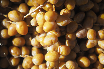 Fresh yellow dates on display at a market stall