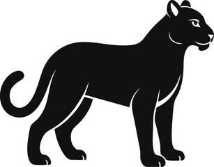 vector illustration of Snow Leopard