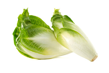 Two heads of fresh Belgian endive, a healthy and versatile vegetable, sit against white.