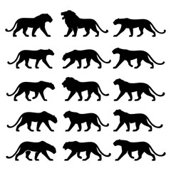 Silhouette illustrations of various big cats in different poses.