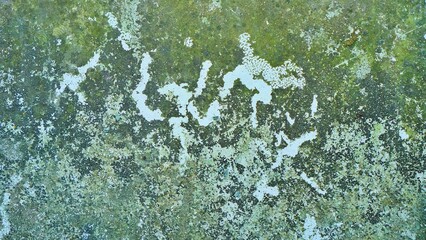Green and white grunge texture background.