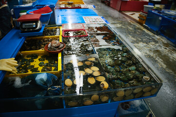 チャガルチ市場　釜山　韓国