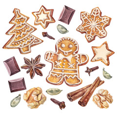 Watercolor set with Christmas gingerbread man and chocolate and spice condiment isolated on white background. Celebration winter New Year dessert food and nut for menu. Cookie clipart for wallpaper