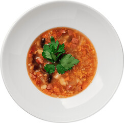 A delicious and flavorful vegetable soup served in a white bowl with fresh parsley.