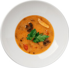 Delicious soup with mushrooms and chicken served in a white bowl.