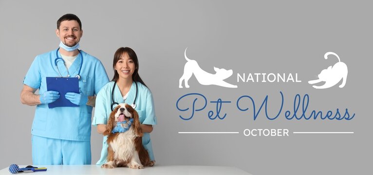 Banner for National Pet Wellness Month with veterinarians and dog