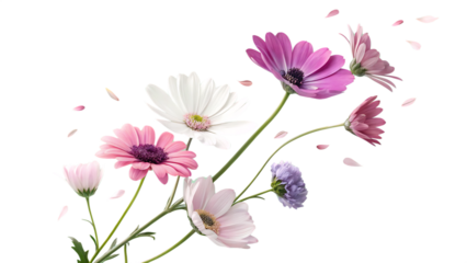 Flowers levitating on a pastel green background PNG. AI GENERATED.