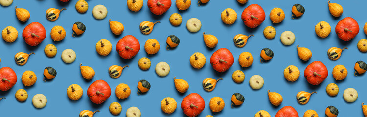 Many pumpkins on blue background. Pattern for design