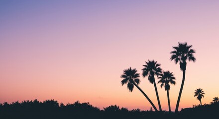 Photo of three majestic palm trees stand silhouetted against a breathtaking sunset, their dark forms contrasting with the vibrant sky