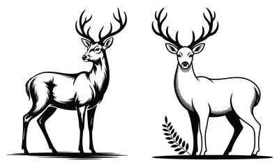 deer vector illustration