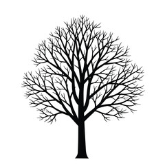 Obraz premium Leafless Winter Tree Silhouette Vector