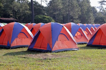 A vibrant array of Red, orange and blue tents set up in a lush green field at Phu Kradueng National...
