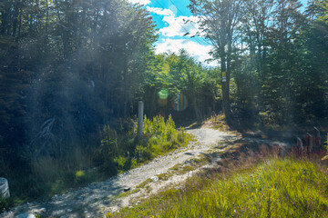 Obraz premium Road to Martial Glacier entrance through Patagonian wilderness