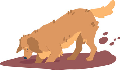 Golden retriever digging ground hole