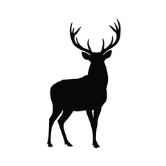 Standing Deer with Antlers Silhouette