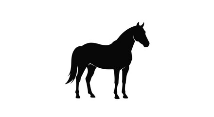 Standing Horse Side View Silhouette