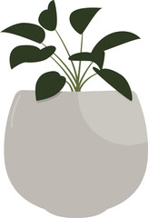 Houseplant in Round Grey Pot