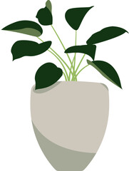 Lush Green Plant in Elegant Pot