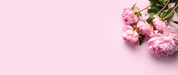 Fototapeta premium Bouquet of beautiful peony flowers on pink background, closeup