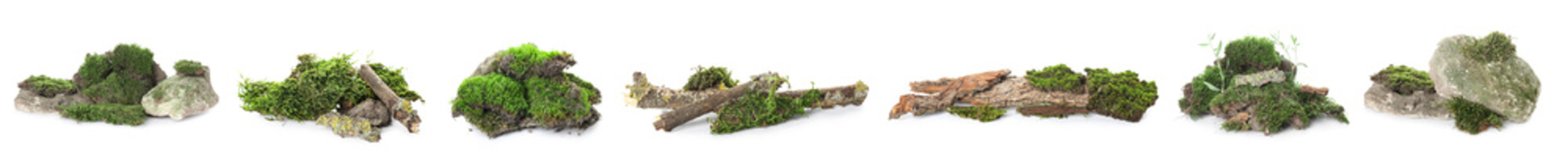 Collage of green moss on white background © Pixel-Shot