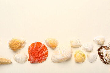 Beautiful seashells on beige background