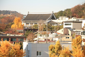 Beautiful Autumn Foliage in Bukcheon, Seoul, South Korea