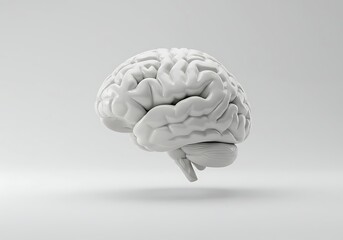 3d illustration of human brain model showing anatomy and intelligence concept