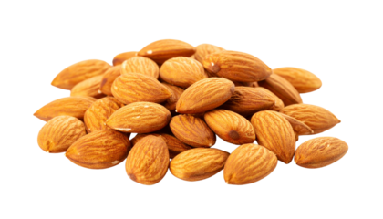 Apricot Kernels Close up Isolated on White Background.