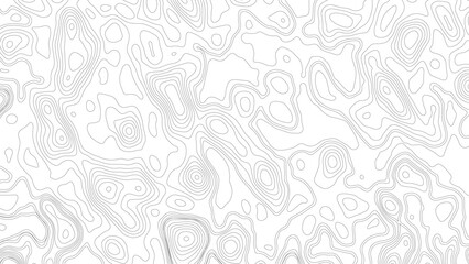 topographic wavy pattern design. 3D waves, White wave paper curved reliefs. Topographic background and texture, monochrome image. 