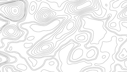 topographic wavy pattern design. 3D waves, White wave paper curved reliefs. Black and white abstract background vector, Abstract topographic contours map background.