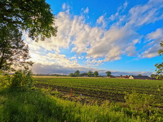 A tranquil view of lush green fields under dramatic skies, ideal for nature and ruralthemed projects