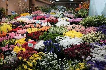 Osaka, Japan – March 26, 2024: Colorful flower market with vibrant blooms and price tags in Japanese yen, capturing local floral culture and seasonal charm.