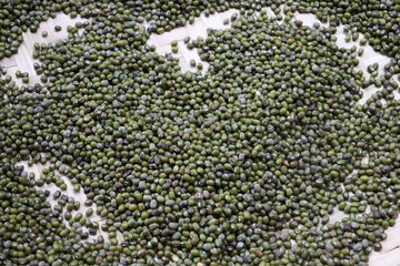 Green Seeds Forming Geometric Art Design

Food Art Concept with Neatly Arranged Green Seeds