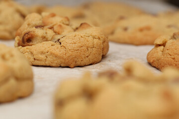Golden, gooey chocolate chip cookies fresh from the oven