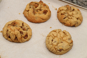 Golden, gooey chocolate chip cookies fresh from the oven