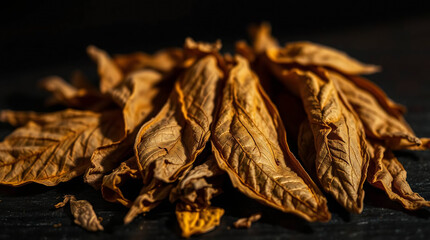 Close-up of dried tobacco leaves