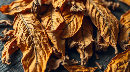 Close-up of dried tobacco leaves