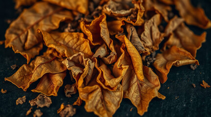 Close-up of dried tobacco leaves