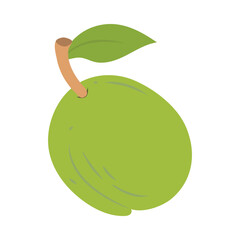 Color icon for  guava